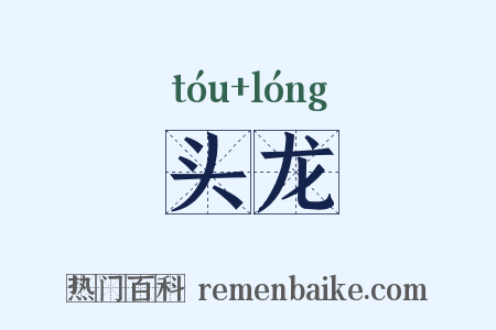 头龙是什么意思的图片
